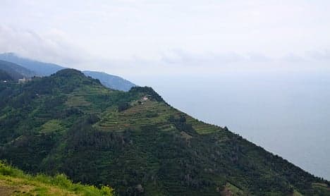 Ligurian vineyards under threat