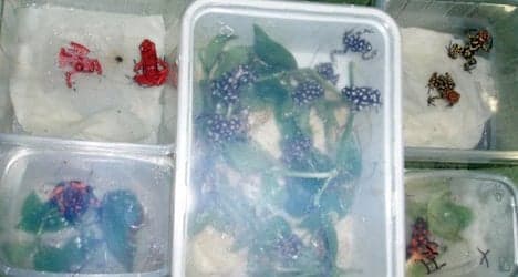 Rare frogs seized in taxi at Swiss border