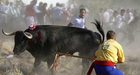 Spain votes on future of 'sadistic' bull festival
