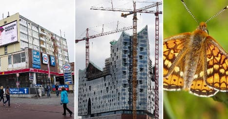 Germany wastes billions on bizarre projects