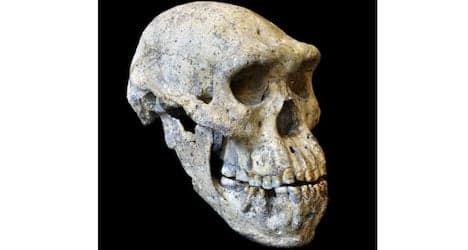 Skull leads Zurich boffins to 'rewrite' history of man