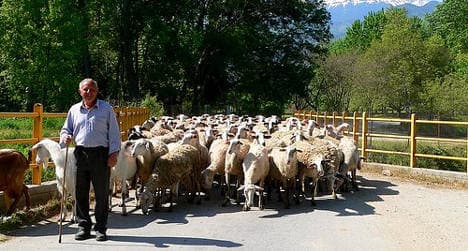 Bulgaria's 'shepherd scammer' seized in Spain