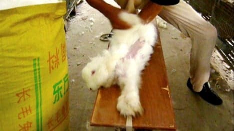 H&amp;M says no to angora after rabbit torture video