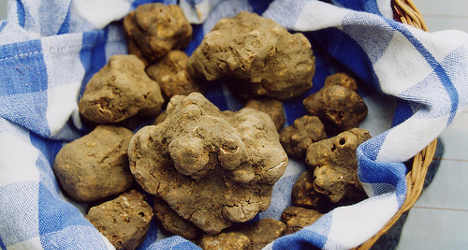 Chinese woman spends €90k on an Italian truffle