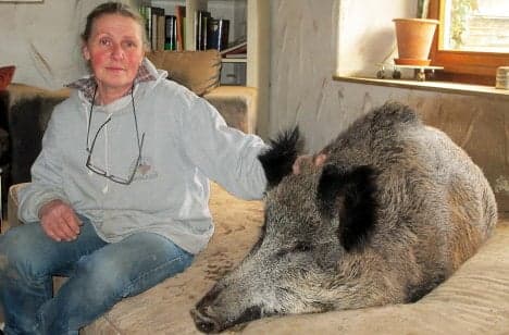 Hunter kills woman's pet wild boar