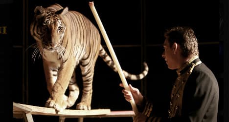 VIDEO: Circus tiger mauls tamer mid-act