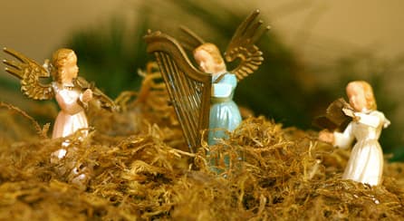 'Angels have no wings': Catholic 'angelologist'