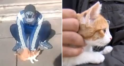 French Kitten chucker jailed for animal cruelty
