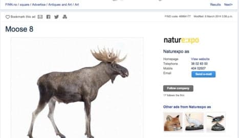 Man puts stuffed elk family on 'Norway's eBay'