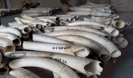 Ivory auction breaks French price records