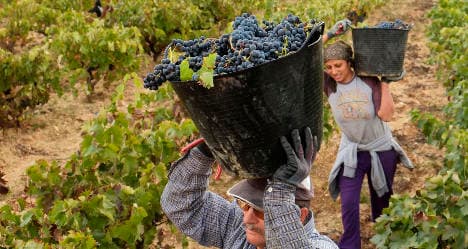 Spain becomes world's biggest wine producer
