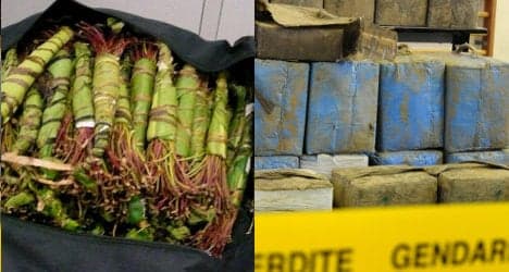 Drugs: French seizures of khat and cannabis soar