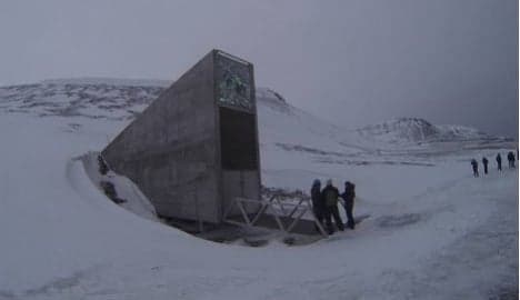 Syria genebank sends seeds to Svalbard