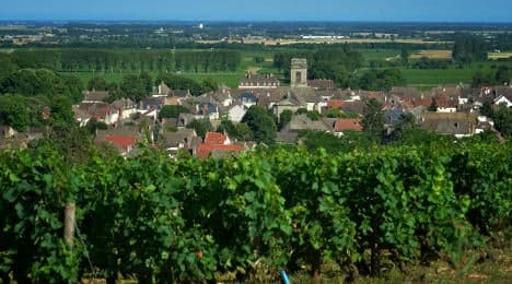 Burgundy 'will be ruined by wind farms'