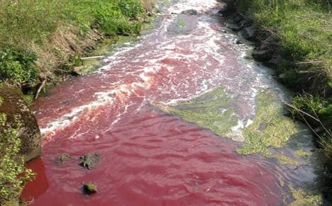 Abattoir probed as blood leak turns stream red