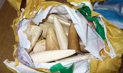 Ivory smugglers fail with sweet tooth lie