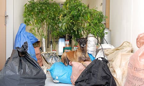 Police dog finds pot and lost post