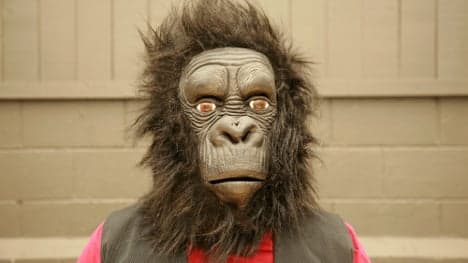 Zoo fail: man 'in gorilla suit' shot in training drill