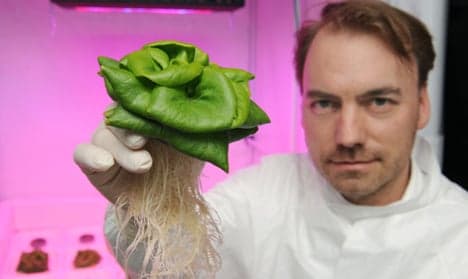 Scientists hope to grow salad in space