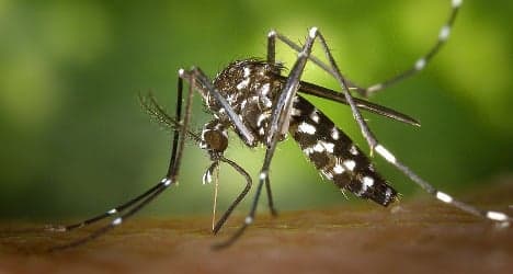 Concern in France over risk of chikungunya virus