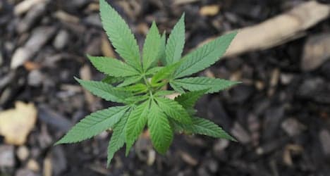 Marijuana 'grow-room' discovered in Vils