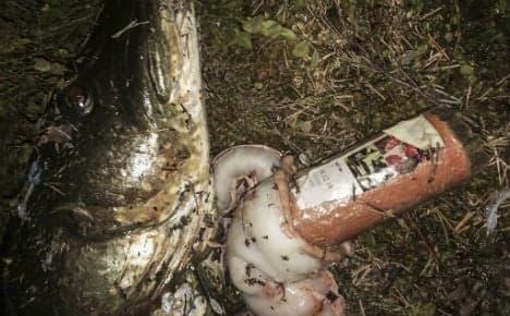 Swede finds wrapped sausage inside fish