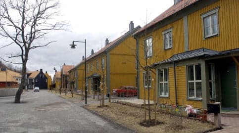 Swede imprisoned for torturing renovators