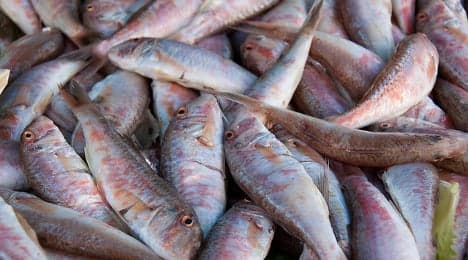 Festival fish throwing deemed 'unacceptable'