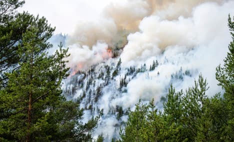 Warning: National risk of forest fires