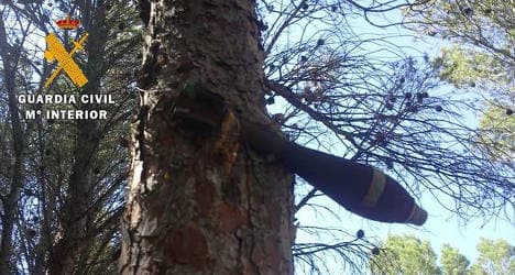 Civil war bomb stuck in pine tree for 75 years