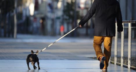 Barcelona dog walkers: get licence or face fines