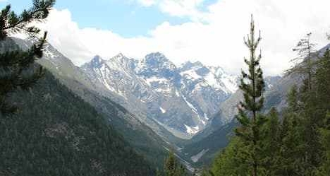 Swiss National Park: touring an Alpine refuge