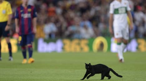 Black cat Spain's first pitch invader of season