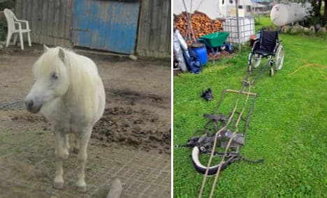 Pony-drawn wheelchair ride ends in injury