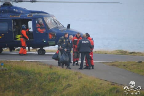 14 detained trying to stop Faroese dolphin hunt