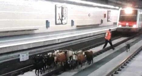VIDEO: Goats invade Spanish train station