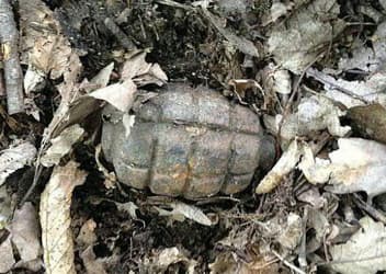 Pensioner finds grenade on mushroom hunt