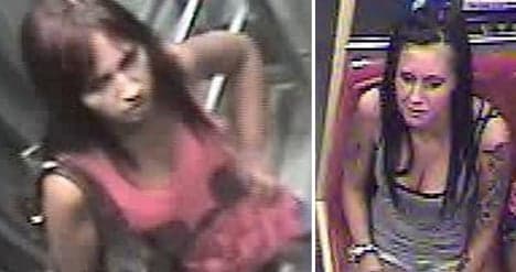 Police look for Vienna mugging women