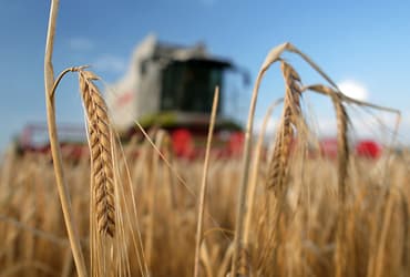 Austrian farmers look to new export markets