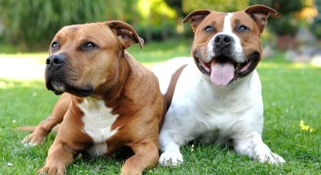 French mayor bars dogs called 'Itler' and 'Iva'