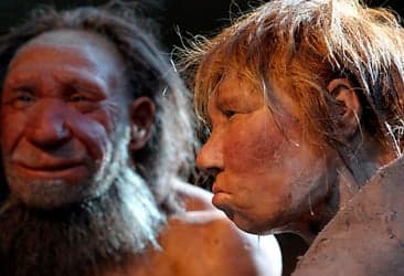 Oldest traces of man found in Austria