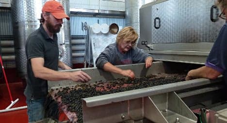 Winemakers bring 'French touch' to Virginia
