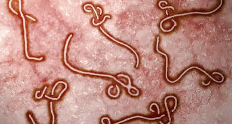Spain admits weak points in Ebola protocols