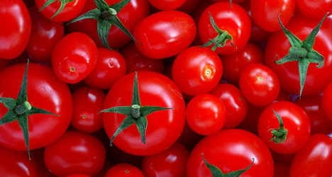 Migrants 'exploited' in Italian tomato industry