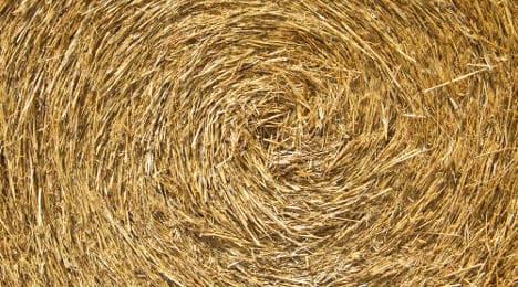 Artist to look for needle in haystack in Paris show