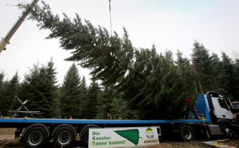 Merkel’s 1.5 tonne Xmas tree hits the road
