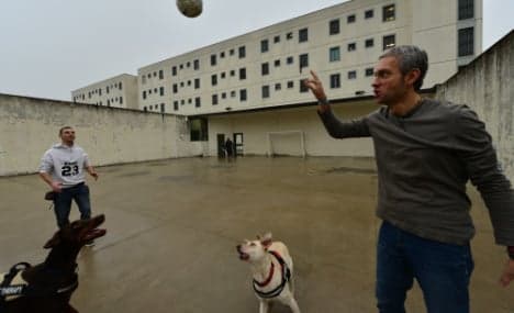 Doggy love works wonders at Italian prison
