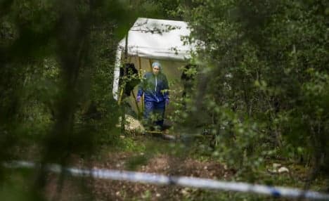 Swedish 'butcher' murderer gets 16 years