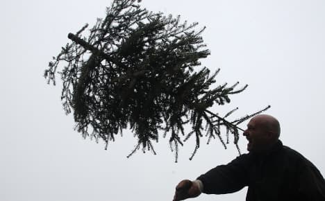 Over half of Christmas trees carry pesticides
