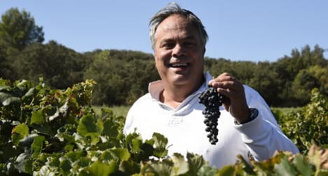 France's only kosher vineyard fights its corner